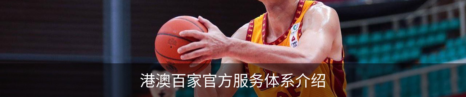 港澳百家官方服务体系介绍