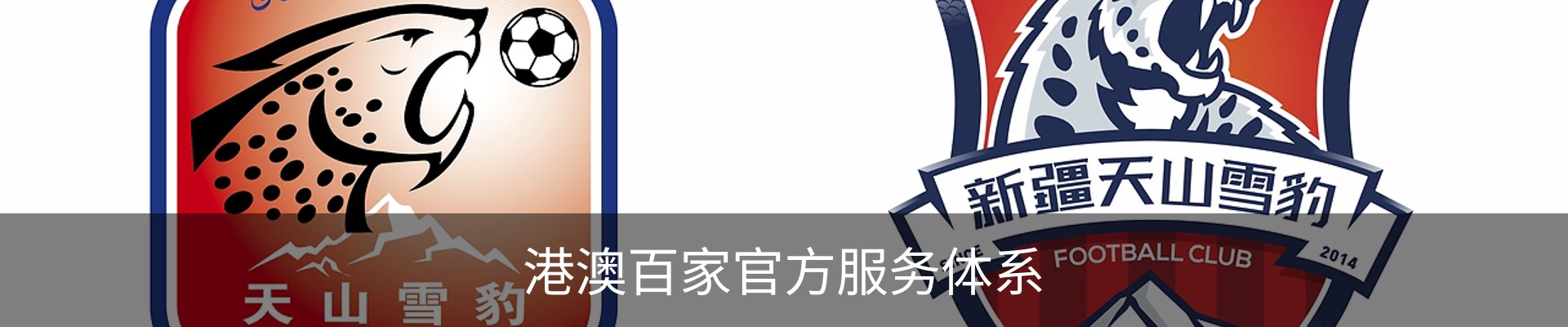 港澳百家官方服务体系